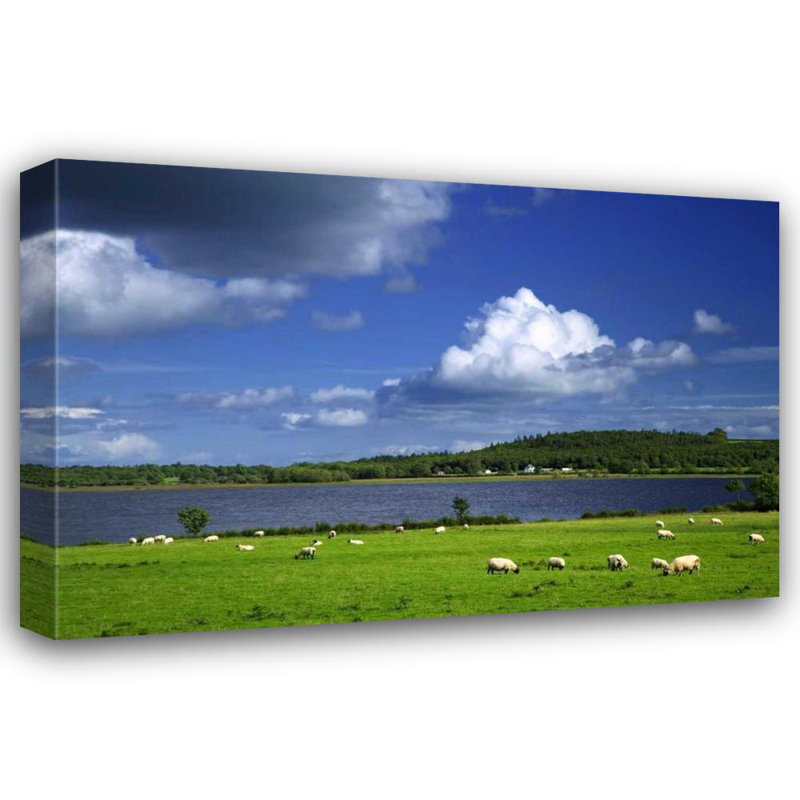 «Lark Manor ™ Flaherty», art sur toile tendue par la galerie Dennis: Irlande, Co Roscommon, scène pastorale du lac