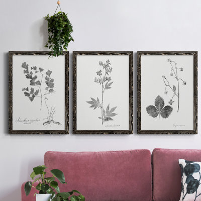 «Botanical Imprint I», ensemble de 3 peintures sur toile encadrées