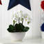 Centre de table orchidée en pot