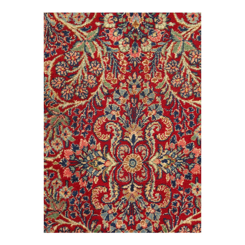 Mahee Hand Woven Cotton Oriental Area Rug