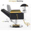Luxurious Barber Chair with Hydraulic Pump and Adjustable Recliner Inbox-1604256684