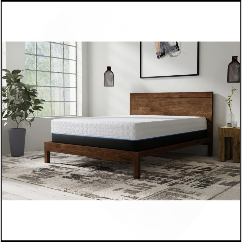 Infused 14 Inch Plush Memory Foam Mattress, Twin XL