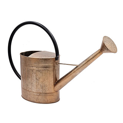 Arrosoir Roemer