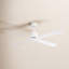 Harford 4-Blade Ceiling Fan with Remote Control-354883511