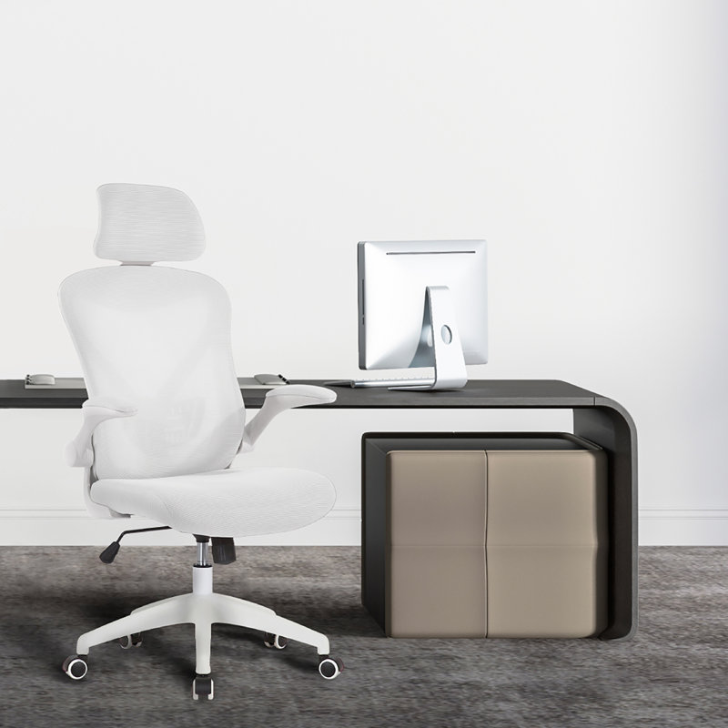 Aalaysia Mesh Office Chair with Headrest, White
