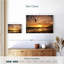 Kerrick, vol du cygne-107846556