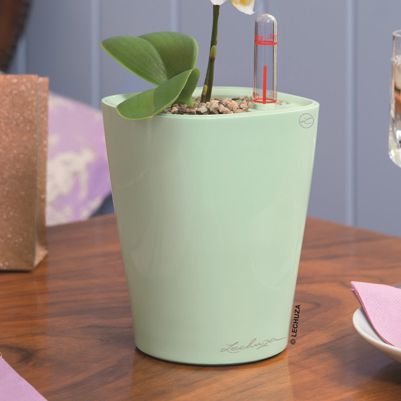 Deltini Pot Planter, White, 13cm H x 10cm W x 10cm D
