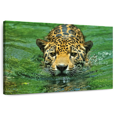 Brampt Swimming Jaguar
