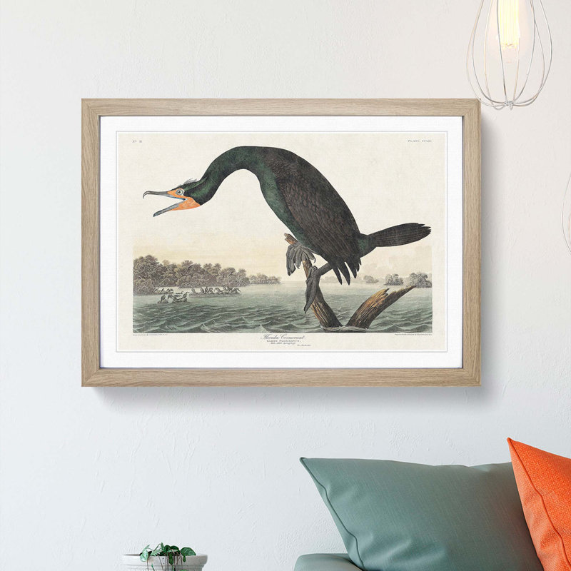 Florida Cormorant Bird by John Audubon - Picture Frame Painting Print on MDF, 36cm H x 48cm W x 2cm D, Oak Framed