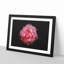 Lone Pink Carnation - Picture Frame Graphic Art Print-56859906-56859907