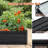 6 - Foot, Galvanized, Raised Bed, Black, Outdoor, Planter, Succulents, Vegetables, Weather , Baking Varnish Foot Long Galvanized Black Outdoor Container For Vegetables And Rust Design-1148568176