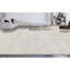 Area Rug in Beige