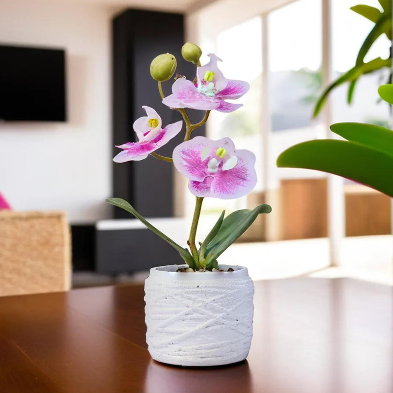 Petite plante artificielle orchidée rose d'intérieur, 9 pouces, 3 cm, Rose, Blanc