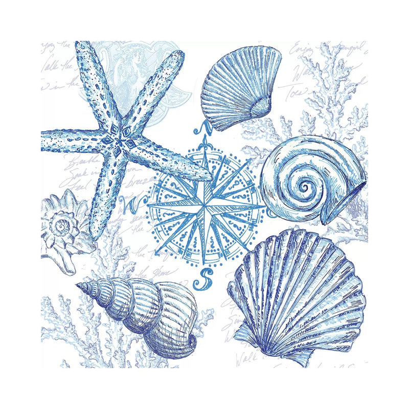 «Coastal Sketbook Shell Toss» par Tre Sorelle Studios - peinture sur toile tendue, H 12 po x l 12 po x P 0,75 po