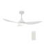 Ventilateur de plafond standard intelligent de 45 pouces avec moteur à courant continu, télécommande et ensemble d'éclairage DEL