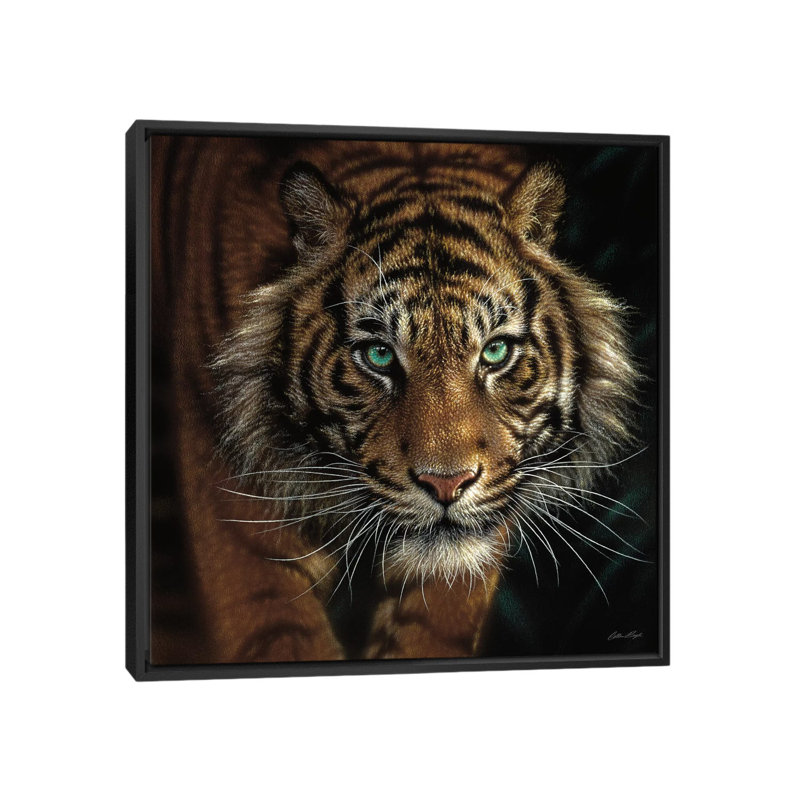 Œil du tigre, carré, H 18 po x l 18 po x P 1,5 po, Toile avec cadre noir, Pas de tapis