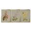«Botanical Array I», ensemble de 3 impressions sur toile encadrées-1436849648-1436849649