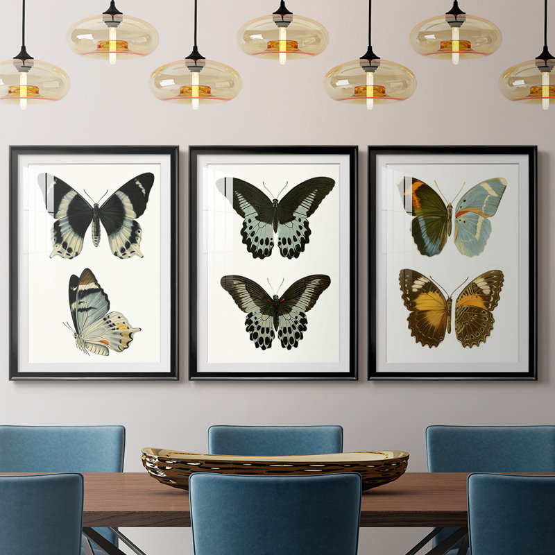 Papillons bleus antiques I - reproduction encadrée sur mesure de qualité supérieure mate - 3 pièces, H 27 po x l 39 po, Noir