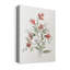«Linen Botanical Coral III», reproduction d'art sur toile tendue-486225506