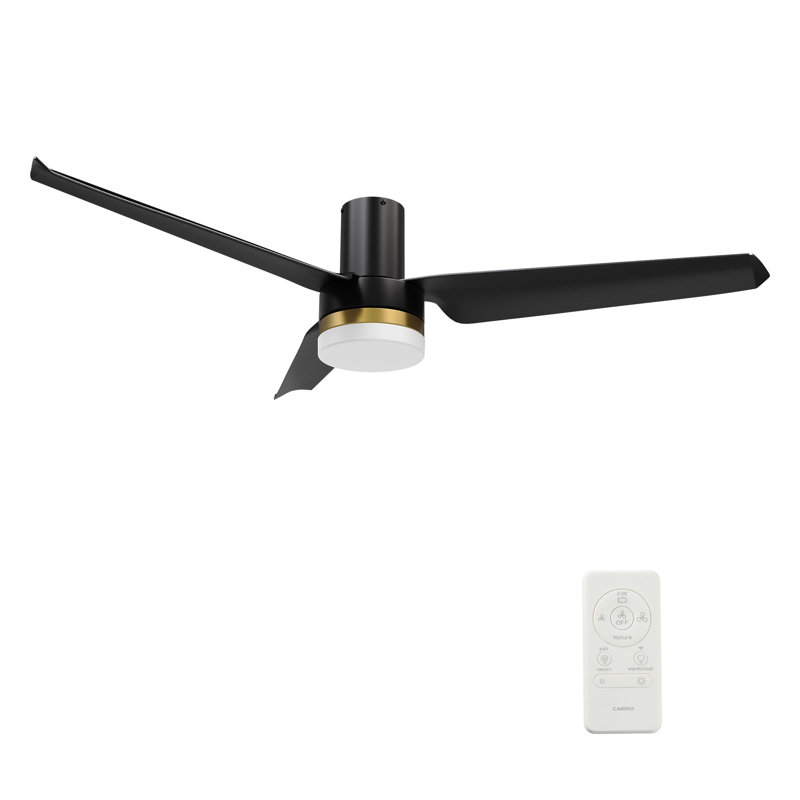 Ventilateur de plafond intelligent Boise avec télécommande, ensemble d'éclairage inclus, fonctionne avec l'assistant Google et Amazon Alexa, raccourci Siri.