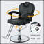 Fauteuil de coiffeur inclinable classique avec pompe hydraulique robuste, rotation à 360 ° et charge maximale de 330 lb pour un confort de salon