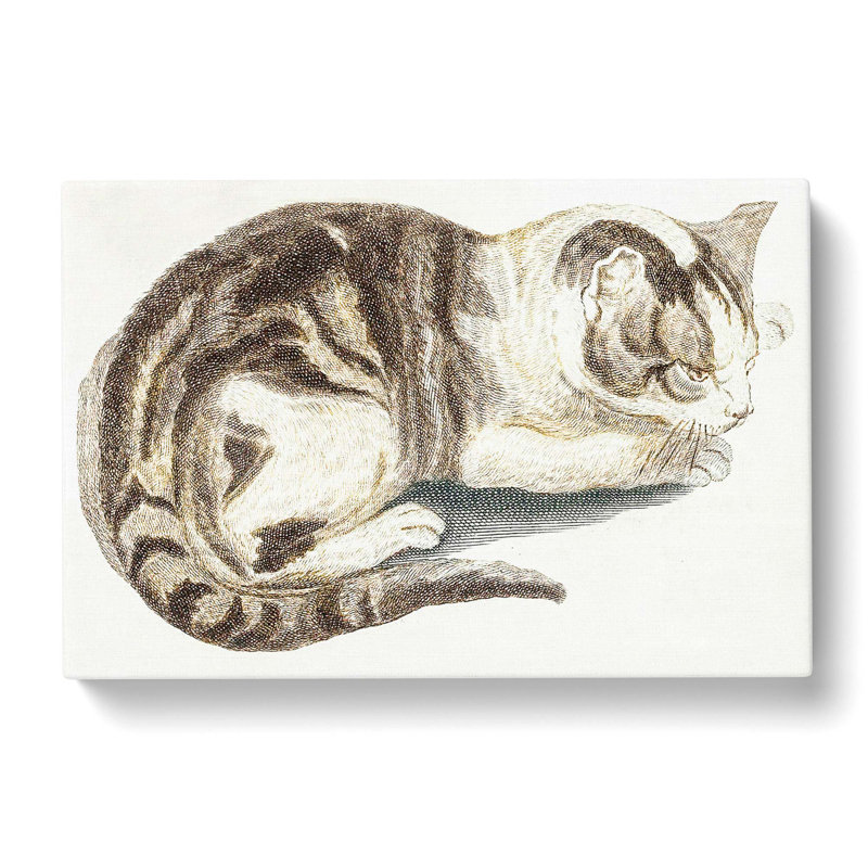 Cat by Johan Teyler - Wrapped Canvas Painting Print, 35cm H x 50cm W x 3cm D