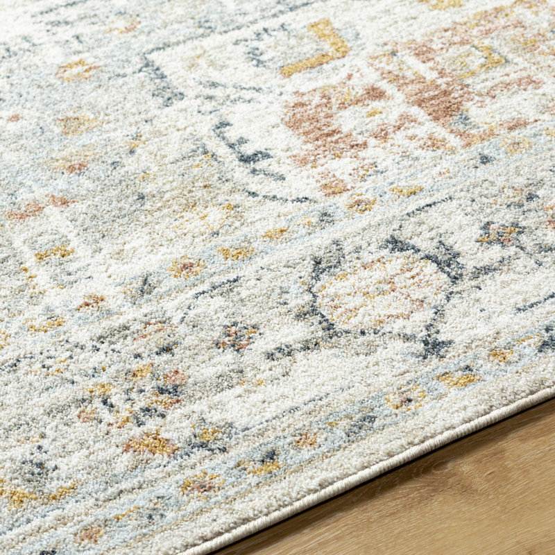 Drinnon Oriental Polyester Area Rug in Gray/Blue/Brown, Rectangle 2' x 2'11"