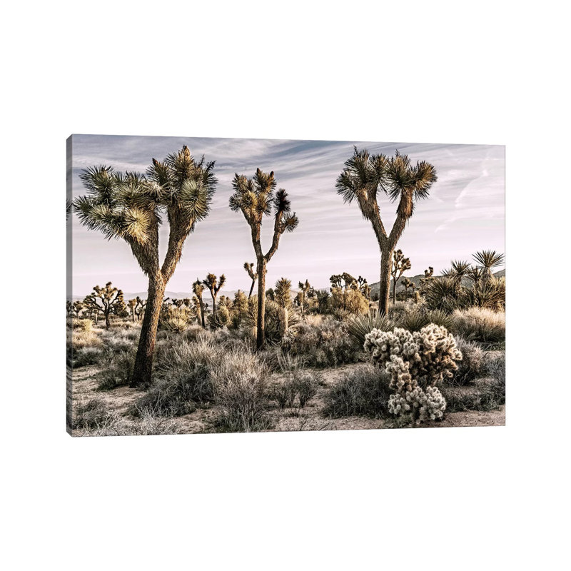 Joshua Tree Views IX 1 Piece Wall Art on Canvas, 66.04 cm H x 45.72 cm W x 1.91 cm D, Wrapped Canvas