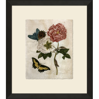 Crackled Insect Collection 5 - Peinture encadrée sur papier