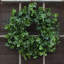 Couronne de porte anglaise toutes saisons-66969680