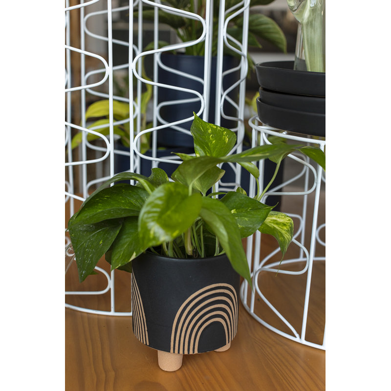 Josiana Handmade Ceramic Pot Planter, 7.5" H x 6.75" W x 6.75" D, Black