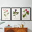 Nature Printed Botanicals III - reproduction sur mesure encadrée de qualité supérieure - 3 pièces-2141871365-2141871371