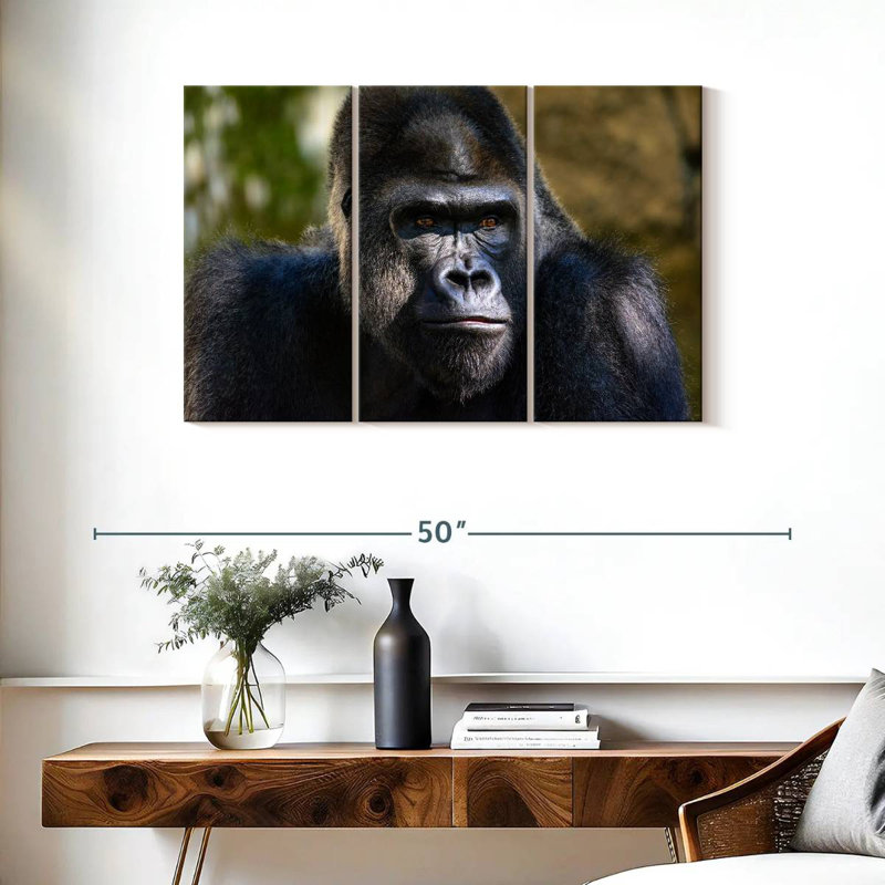 Mountain Gorilla, 24" H x 38" W