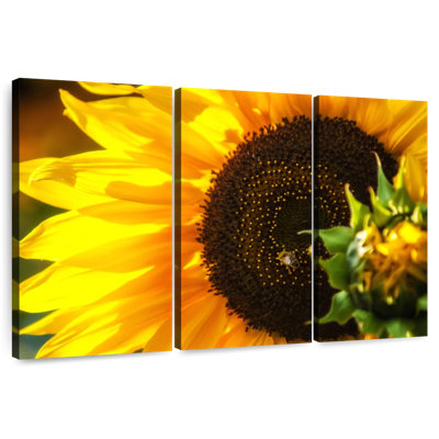 Harnek magnifique tournesol