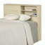 Noah Twin Bookcase Headboard