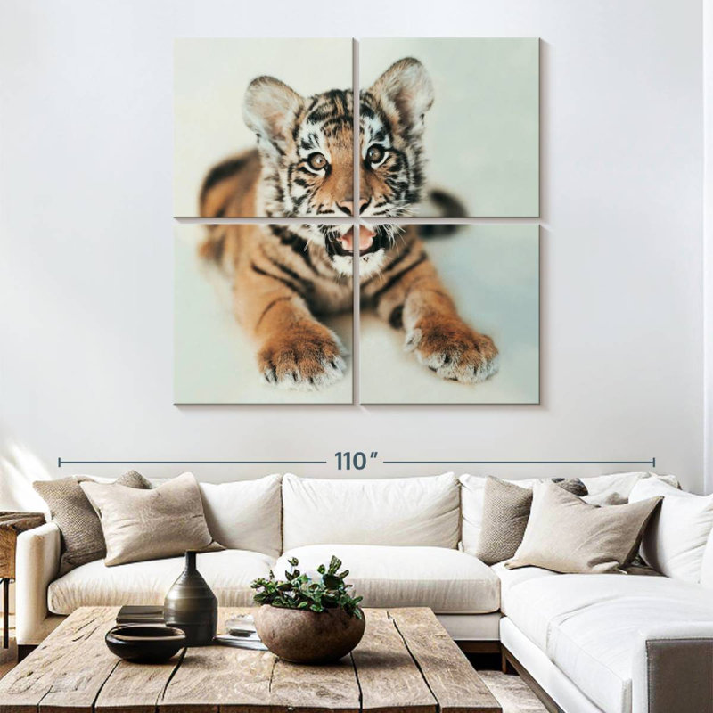Brampt Indira I, 74" H x 74" W