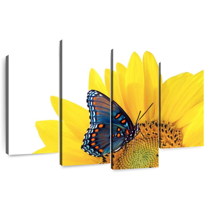 Tournesol Brampt avec papillon, H 48 po x l 75 po