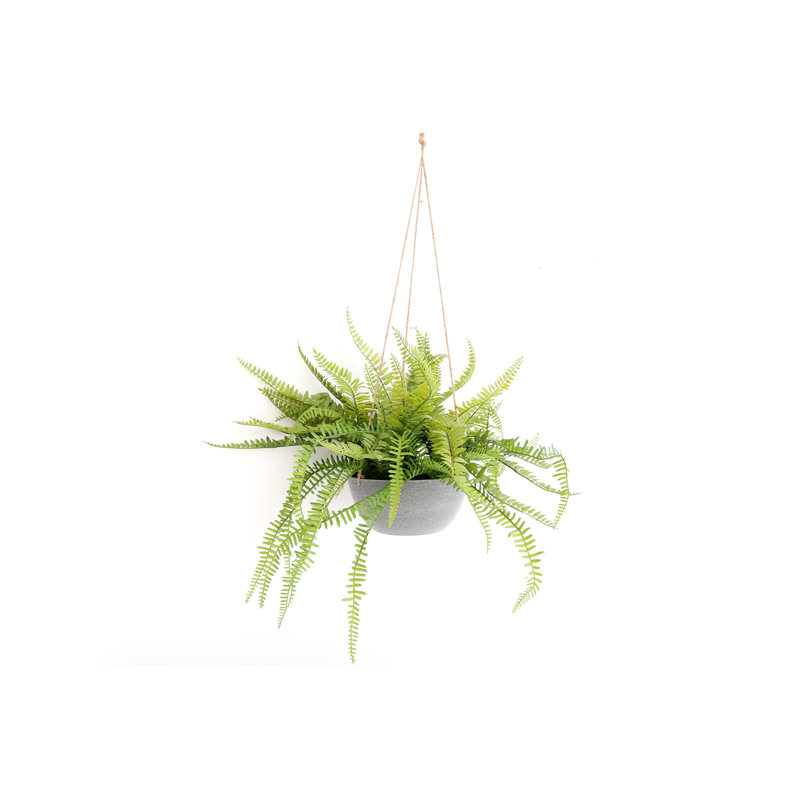 40cm Fern Plant