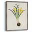 Flowers of the Seasons VI Framed Print - Solid Wood-956500423