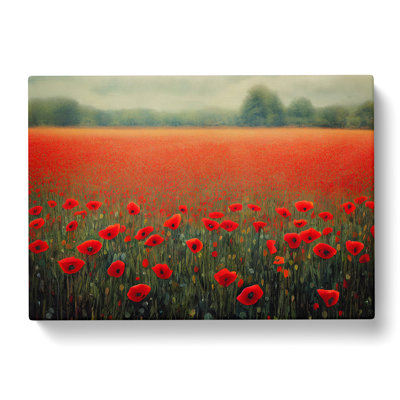 Splendid Poppies Flowers - Wrapped Canvas Print