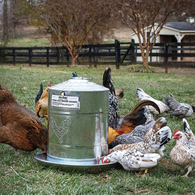 Metal 2 Gallons Waterer