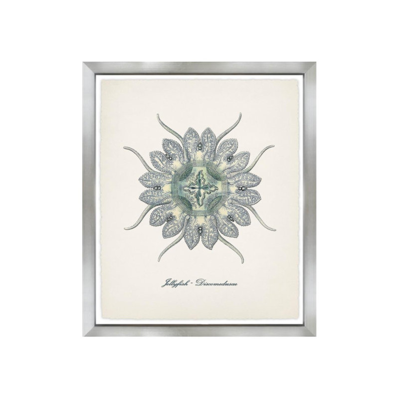 Nautical Art I Print by Sofia Fox, 28" H x 24" W x 1.5" D, Matte