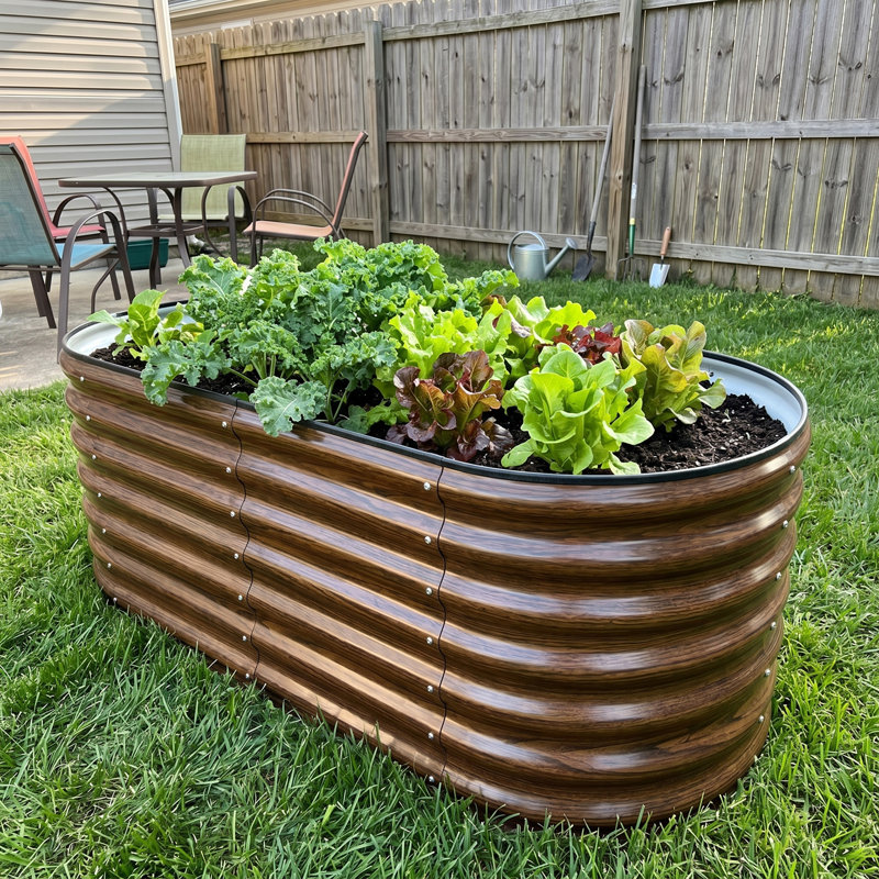 22 po de hauteur surélevé 4 po x 2 pi pour plantes de jardin (2 pièces), Brown