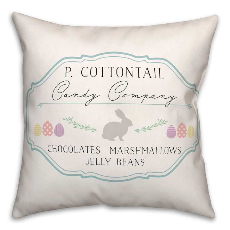 Ivelyn Polyester/Polyester Blend Throw Square Indoor/Outdoor Pillow Cover & Insert