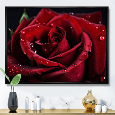 Art floral sur toile rose, impression de fleur rouge avec gouttes de pluie - Rose rouge avec gouttes de pluie IV