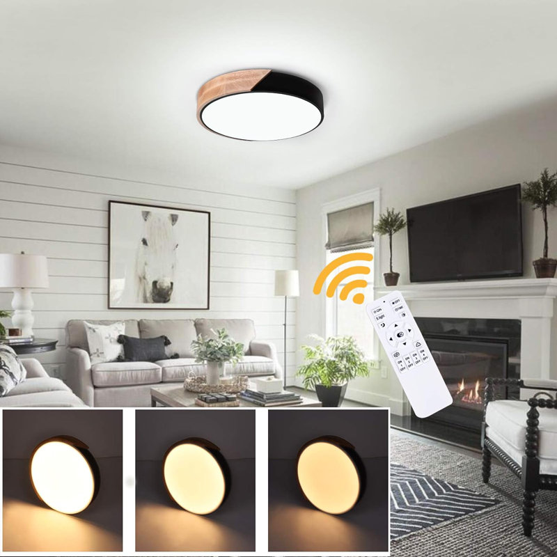 Ceiling Light Dimmable Modern Minimalist LED Round Shaped Metal Flush Mount Ceiling Light With Remote Control, Black