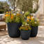 Ensemble de pots de fleurs 3 pièces à texture craquelée avec trous de drainage pour patio -994305957