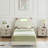 Upholstered Platform Bed-1767606322