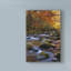 «Autumn on Little River» par Danny Head - impression sur toile-33425748
