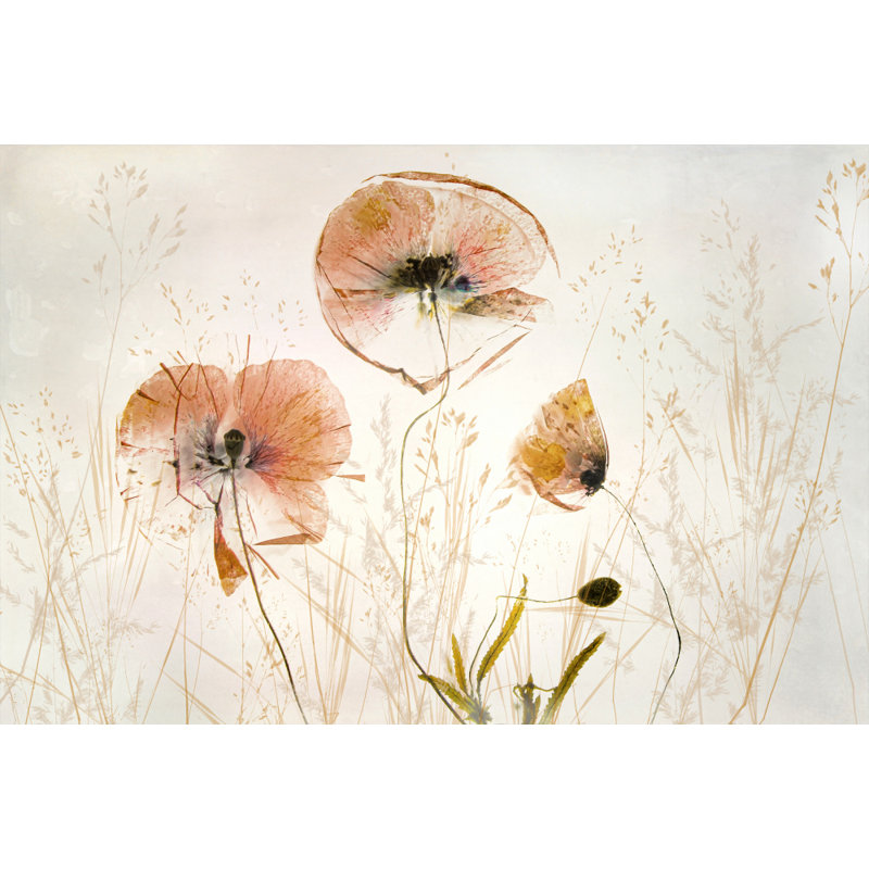 Wrapped Canvas Print, 50.8cm H x 76.2cm W